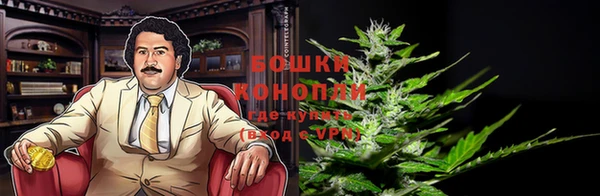 ПСИЛОЦИБИНОВЫЕ ГРИБЫ Балабаново
