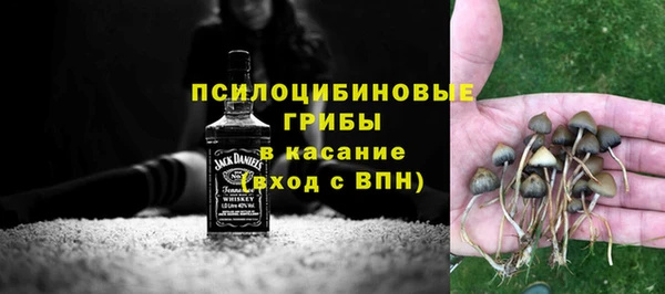 ПСИЛОЦИБИНОВЫЕ ГРИБЫ Балабаново
